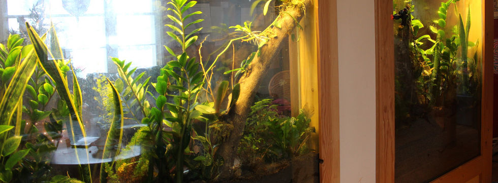 Vinaora Nivo Slider 3.x