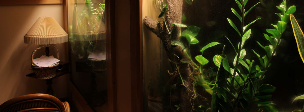 Vinaora Nivo Slider 3.x