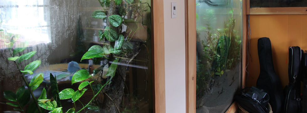 Vinaora Nivo Slider 3.x