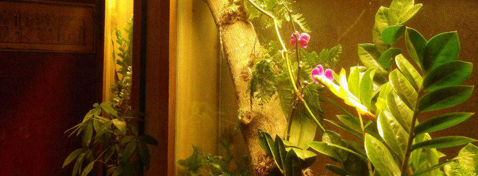 Vinaora Nivo Slider 3.x