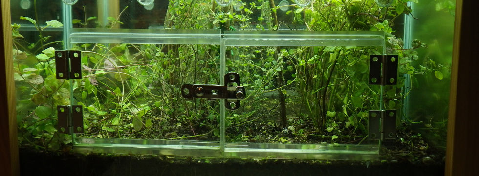 Vinaora Nivo Slider 3.x