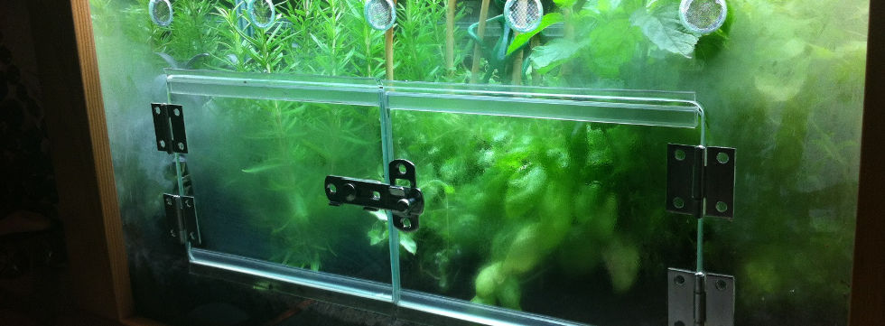 Vinaora Nivo Slider 3.x