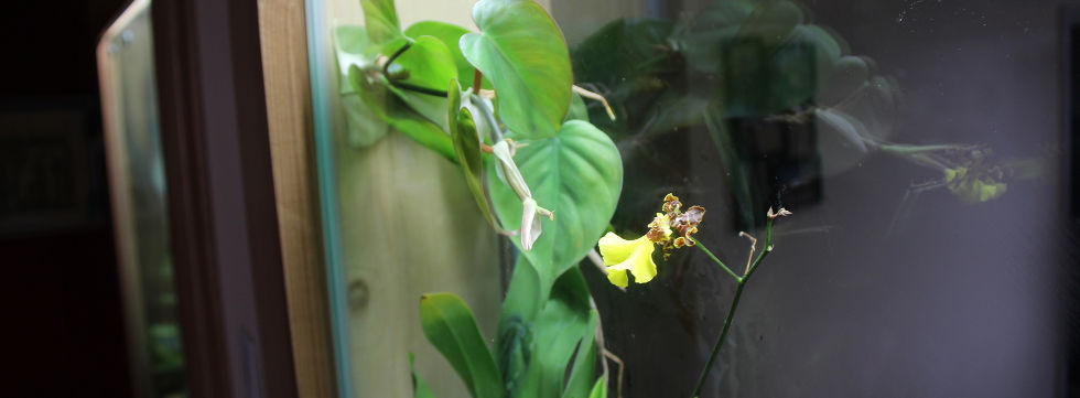 Vinaora Nivo Slider 3.x